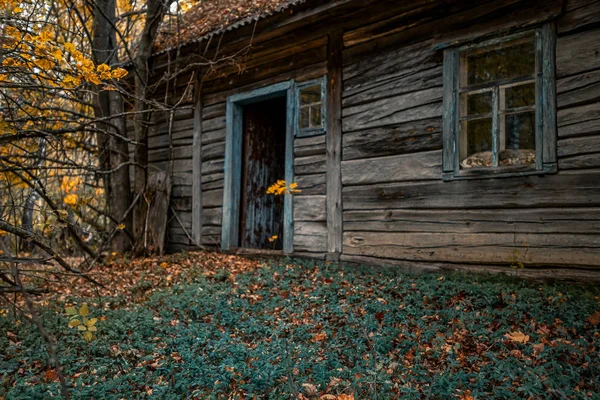 Hof Überwuchert Mit Wildpflanzen Die Der Sperrzone Von Tschernobyl Gelb — Stockfoto