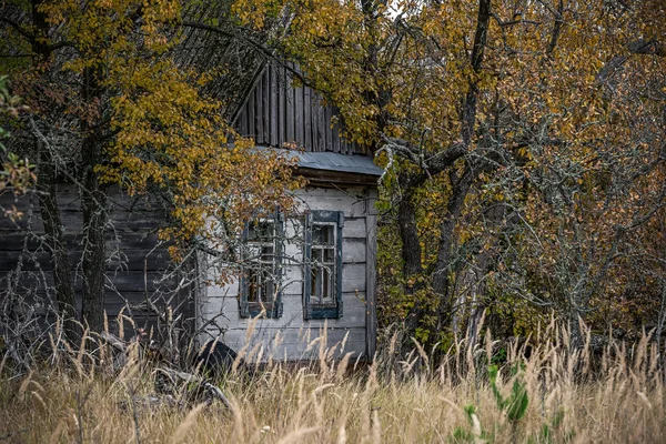 Opuszczony Dom Porośnięte Dzikich Roślin Które Rozpoczęły Żółty Strefie Chernobyl — Zdjęcie stockowe