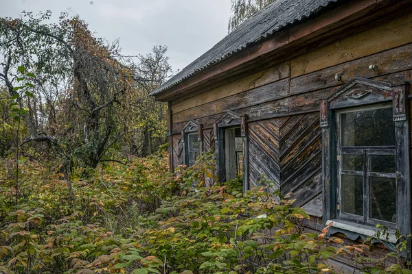 Casa Abandonada Cubierta Plantas Silvestres Que Comenzaron Amarillas Zona Exclusión — Foto de Stock