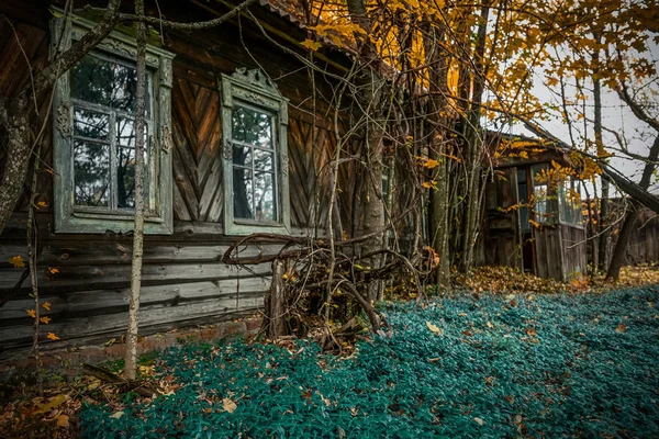 废弃的房子 在切尔诺贝利禁区内生长成了黄色的野生植物 — 图库照片