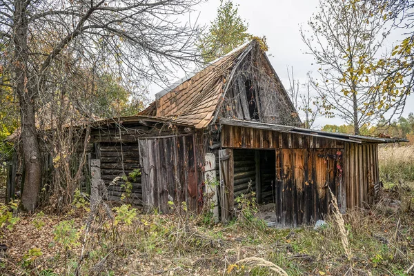 Verlassener Hof Überwuchert Mit Wildpflanzen Die Der Sperrzone Von Tschernobyl — Stockfoto