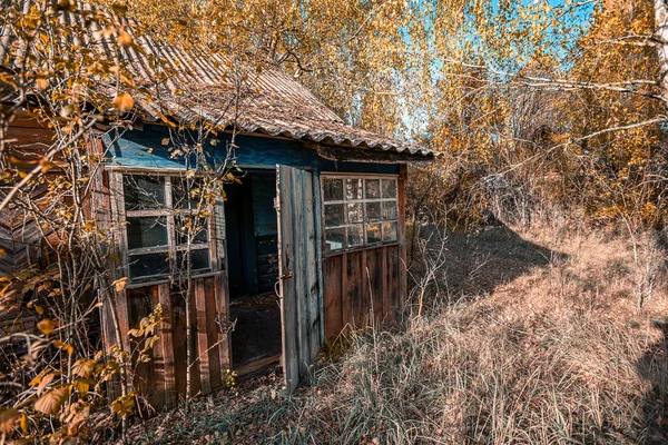 Jardín Abandonado Cubierto Plantas Silvestres Que Comenzaron Amarillas Zona Exclusión — Foto de Stock