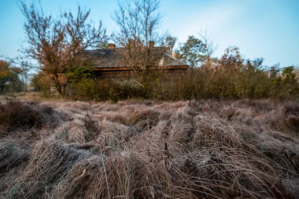 Feld Mit Trockenem Gras Das Einem Nebligen Morgen Vom Frost — Stockfoto