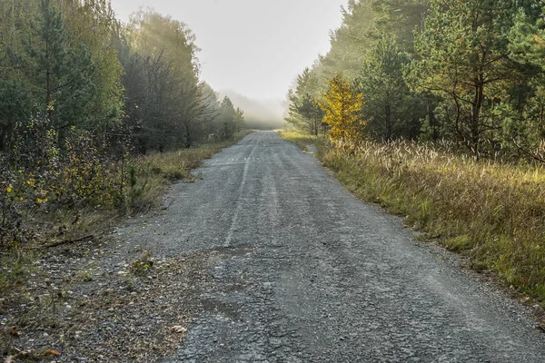 Παλιό Άσφαλτο Περνάει Μέσα Από Θαυμάσιο Φθινόπωρο Δάσος Στην Ομίχλη — Φωτογραφία Αρχείου