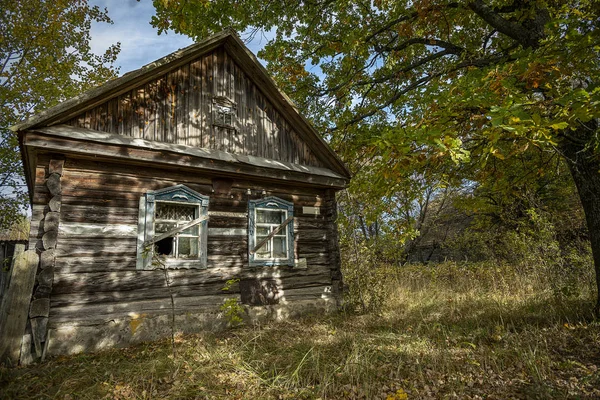Покинутий Будинок Заростають Диких Рослин Які Почали Жовтий Чорнобильській Зоні — стокове фото