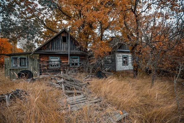 チェルノブイリの避難区域の黄色を始めた野生の植物の生い茂った廃屋 — ストック写真