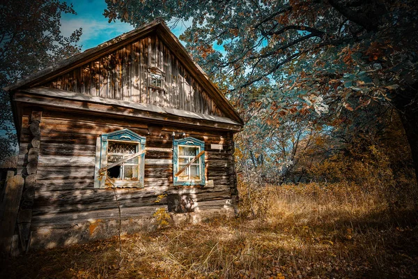 Verlassenes Haus Überwuchert Mit Wildpflanzen Die Der Sperrzone Von Tschernobyl — Stockfoto