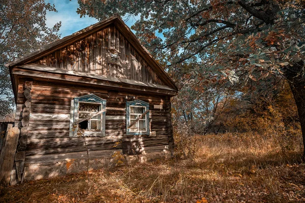 Casa Abandonada Cubierta Plantas Silvestres Que Comenzaron Amarillas Zona Exclusión — Foto de Stock