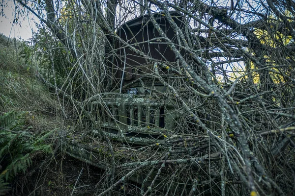 Tecnología Radiactiva Abandonada Cubierta Plantas —  Fotos de Stock