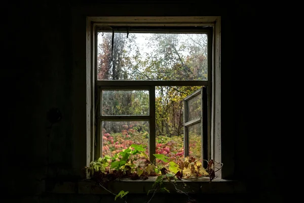 Θέα Από Παράθυρο Στην Φθινοπωρινή Αυλή Από Σκοτεινό Σπίτι — Φωτογραφία Αρχείου