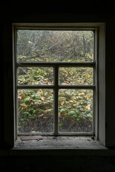 View Window Autumn Courtyard Dark House — Stock Photo, Image