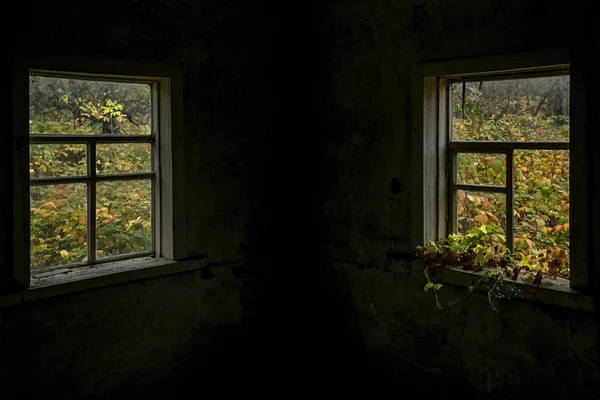 View Two Windows Autumn Courtyard Dark House — Stock Photo, Image