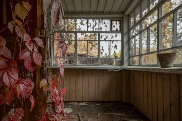 Εγκαταλελειμμένο Είσοδο Στο Παλιό Ξύλινο Κτίριο Κόκκινο Φύλλα — Φωτογραφία Αρχείου