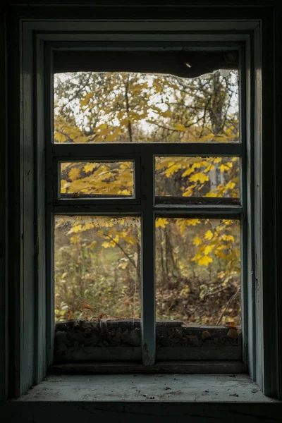 View Window Autumn Courtyard Dark House — Stock Photo, Image