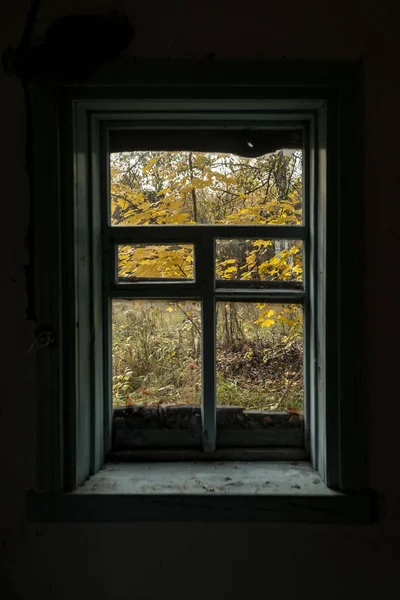 Pohled Okna Podzimní Nádvoří Potemnělého Domu — Stock fotografie