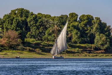 12.11.2018 nehir boyunca yelken Aswan, Mısır ' A tekne felucca nil güneşli bir günde bir sahil plaj karşı