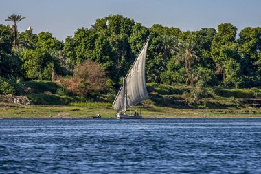 12.11.2018 nehir boyunca yelken Aswan, Mısır ' A tekne felucca nil güneşli bir günde bir sahil plaj karşı