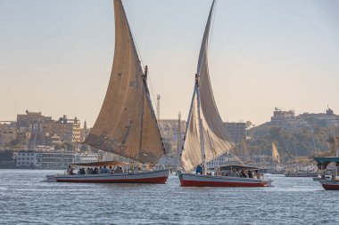 12.11.2018 güneşli bir çerçevede bir şehir nilies bir nehir boyunca yelken Aswan, Mısır ' A tekne felucca