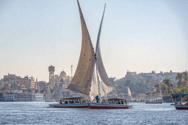 12.11.2018 güneşli bir çerçevede bir şehir nilies bir nehir boyunca yelken Aswan, Mısır ' A tekne felucca