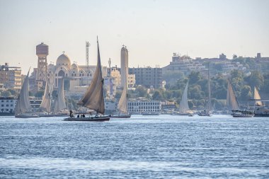 12.11.2018 güneşli bir çerçevede bir şehir nilies bir nehir boyunca yelken Aswan, Mısır ' A tekne felucca