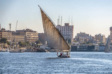 12.11.2018 güneşli bir çerçevede bir şehir nilies bir nehir boyunca yelken Aswan, Mısır ' A tekne felucca