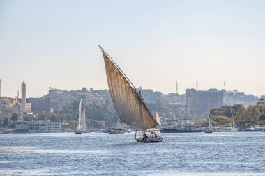 12.11.2018 güneşli bir çerçevede bir şehir nilies bir nehir boyunca yelken Aswan, Mısır ' A tekne felucca