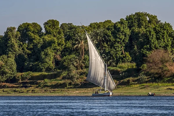 2018 川に沿ってセーリング アスワン エジプト 船ファルーカ晴れた日に海岸ビーチに対して Nil — ストック写真