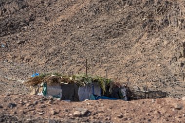Yoksulluk Bedevi Sina Çölü'nde. Gecekondu sakinleri göçebelerin