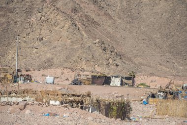 Yoksulluk Bedevi Sina Çölü'nde. Gecekondu sakinleri göçebelerin