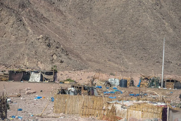 Yoksulluk Bedevi Sina Çölü Nde Gecekondu Sakinleri Göçebelerin — Stok fotoğraf