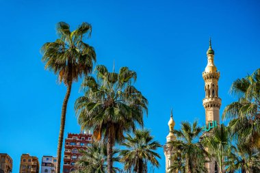 18/11/2018 İskenderiye, Mısır, güneşli bir mavi bir gökyüzü ve palmiye ağaçları karşı Abo El Abass caminin minaresi