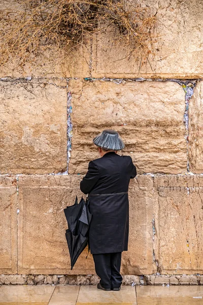 Gläubiger Jude Betet Der Nähe Der Mauer Des Schreiens Mit — Stockfoto
