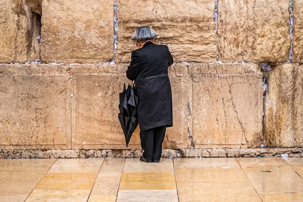 Верящий Еврей Молится Стены Плача Большой Черной Шляпе Дождём — стоковое фото