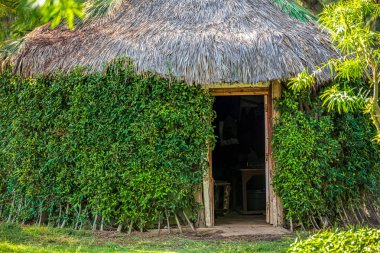 Afrika'nın tropikal ormanda geleneksel Bungalov