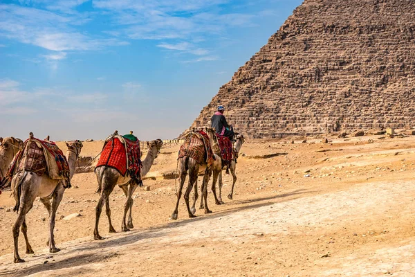 Sfenks Anıt Büyük Piramitler Güneşli Bir Arka Planı — Stok fotoğraf