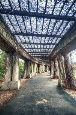  kasvetli ve karanlık koridor Bush'larda kaplıydı sütunlarla