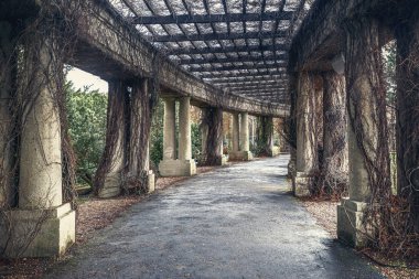  kasvetli ve karanlık koridor Bush'larda kaplıydı sütunlarla