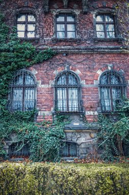 Wroclaw Ulusal Müzesi inanılmaz derecede muhteşem duvarlar hasır çalılar ile kaplıdır, mistik windows yoldan geçenler tarafından korkutmak