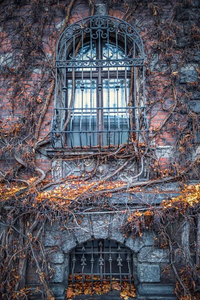 Niesamowicie Fantastyczny Ściany Muzeum Narodowego Wrocławiu Pokryte Krzewami Wiklinowymi Mistyczne — Zdjęcie stockowe