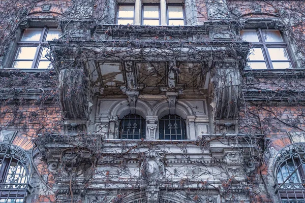 Niesamowicie Fantastyczny Ściany Muzeum Narodowego Wrocławiu Pokryte Krzewami Wiklinowymi Mistyczne — Zdjęcie stockowe