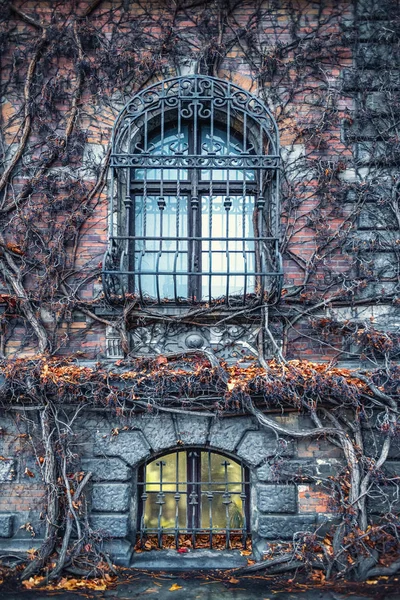 Neuvěřitelně Skvělé Wroclaw Národního Muzea Stěnách Proutěný Keře Mystické Windows — Stock fotografie