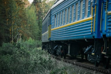 yolcu treni orman geçer