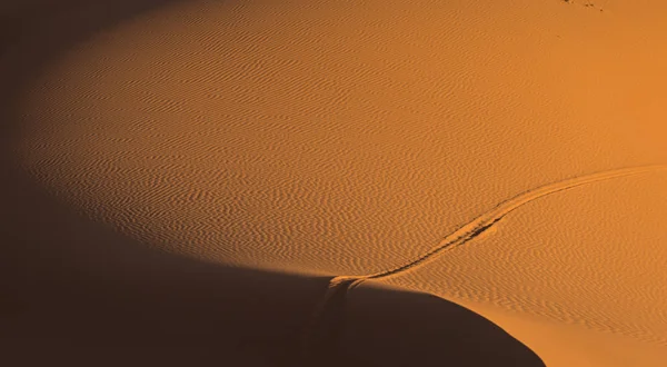 Incredibly Beautiful Dunes Maroccan Desert — Stock Photo, Image