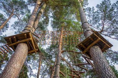 çam ormanı yetişkin ve çocuk eğlence, - resim için halat Parkı