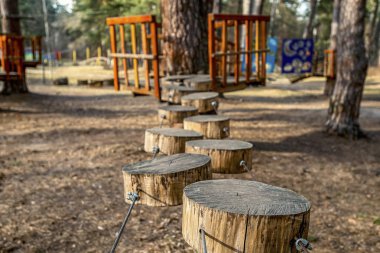 çam ormanı yetişkin ve çocuk eğlence, - resim için halat Parkı
