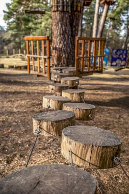 çam ormanı yetişkin ve çocuk eğlence, - resim için halat Parkı