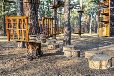 çam ormanı yetişkin ve çocuk eğlence, - resim için halat Parkı