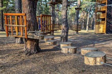 çam ormanı yetişkin ve çocuk eğlence, - resim için halat Parkı