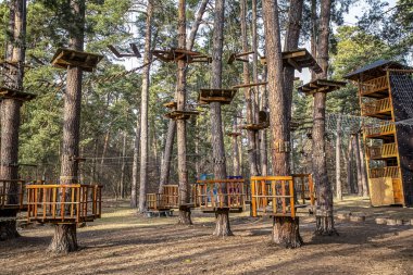 çam ormanı yetişkin ve çocuk eğlence, - resim için halat Parkı