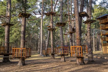 çam ormanı yetişkin ve çocuk eğlence, - resim için halat Parkı